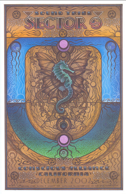 STS9 - California 2002