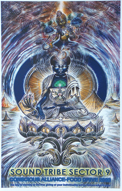 STS9 - Spring Tour 2003