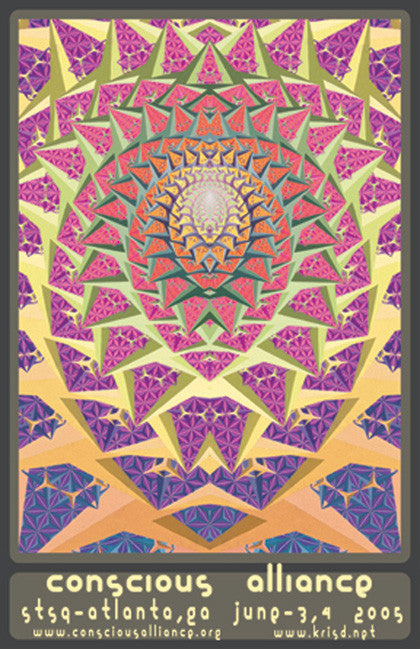 STS9 - Atlanta 2005