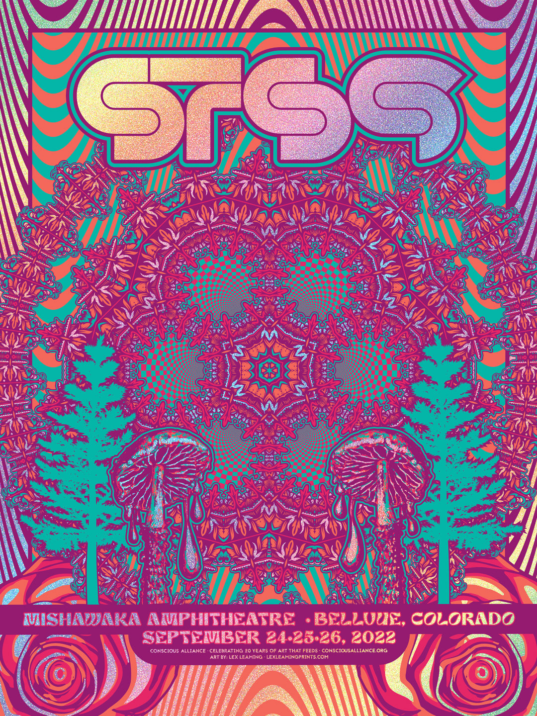 STS9 Mishawaka - 2022