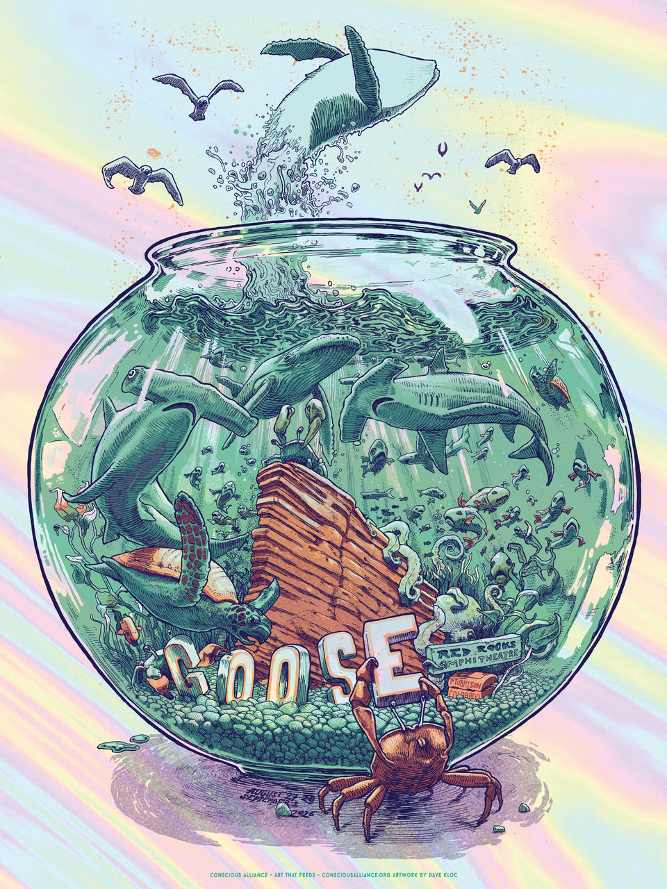 Goose - Morrison 2026