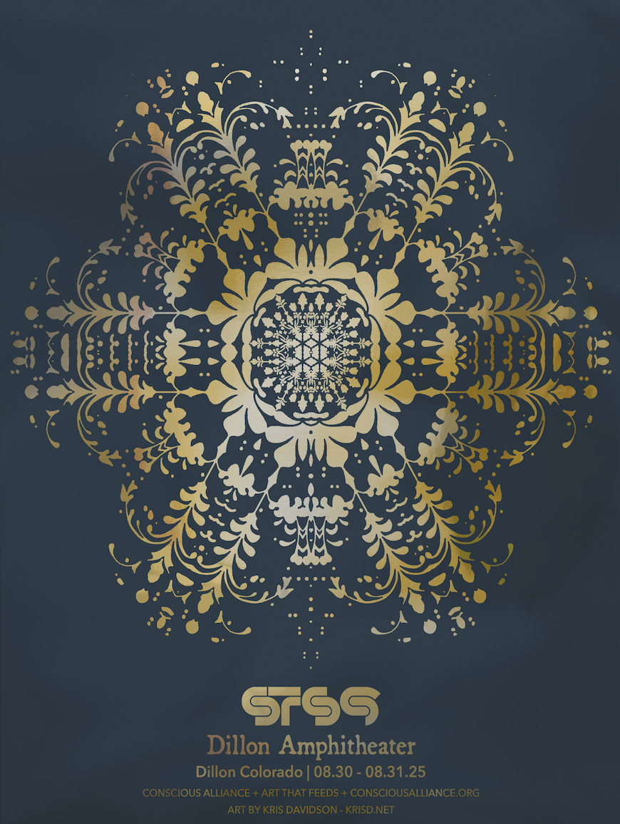 STS9 - Dillon 2025
