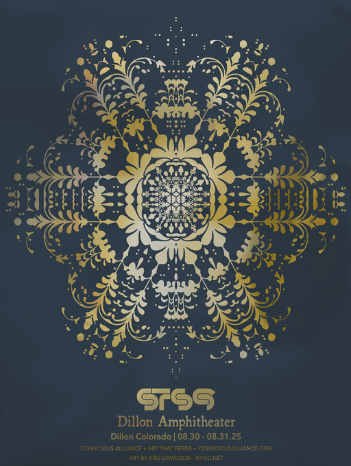 STS9 - Dillon 2025