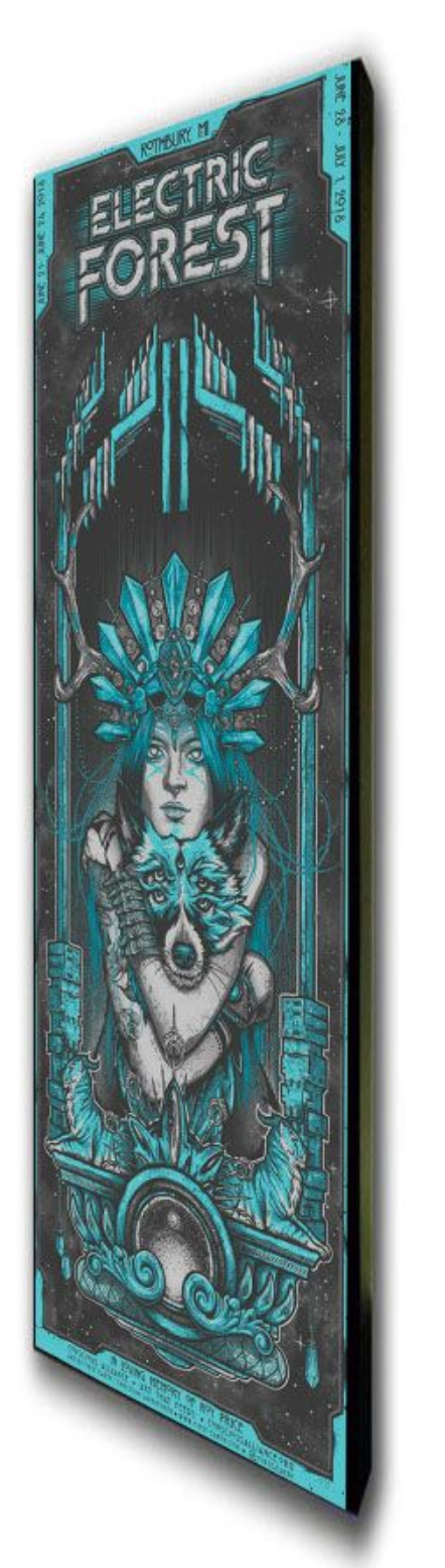 Electric Forest Festival - 2018 (WOMAN FACING FORWARD) (Canvas)