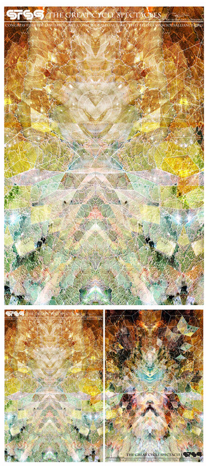 STS9 Chicago - 2012 (Panel 1)
